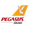 Pegasus